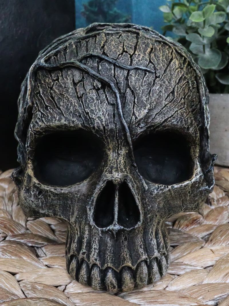 Ebros Tree Spirit Dryad Skull Collectible Figurine Desktop Home 