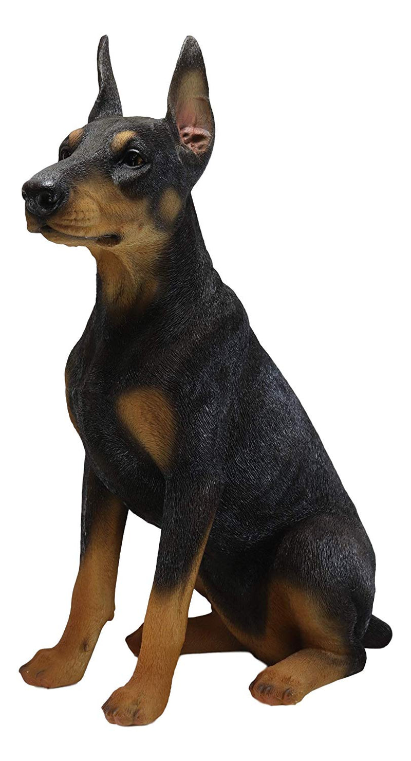 Pedigree for hot sale doberman