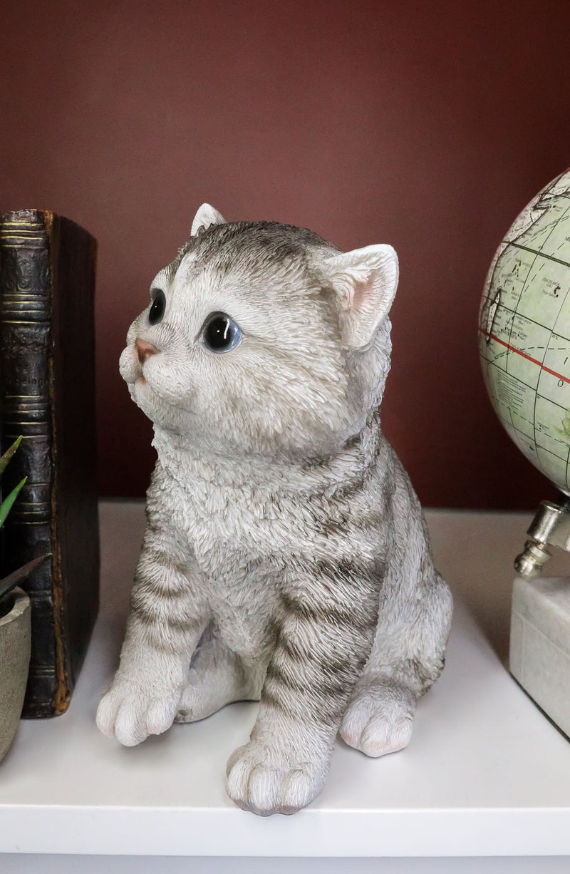 Resting Feline Orange Tabby Cat Kitten Figurine With Realistic Glass Eyes  Decor