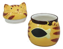 Ceramic Feline Orange Tabby Fat Cat With Giant Fish Belly Cookie Jar 7.25"Tall