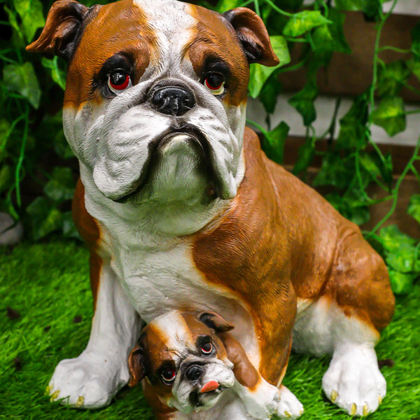 English Bulldog Puppy Glass Eyes Statue Adorable Bully Wrinkles Red Wh –  BOTEGA EXCLUSIVE