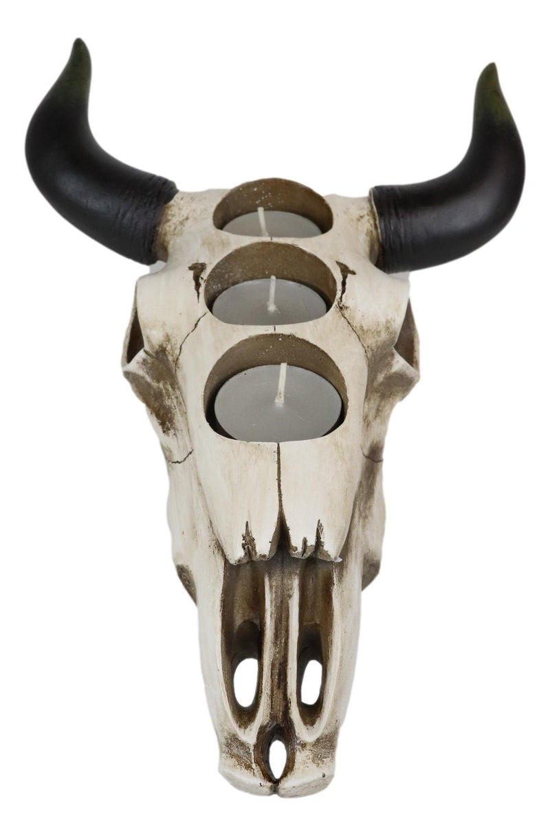 Western Steer Bull Cow Skull Decorative 3 Tea Light Votives Candle Holder Decor