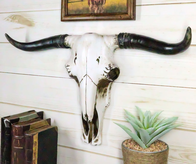 longhorn bull head