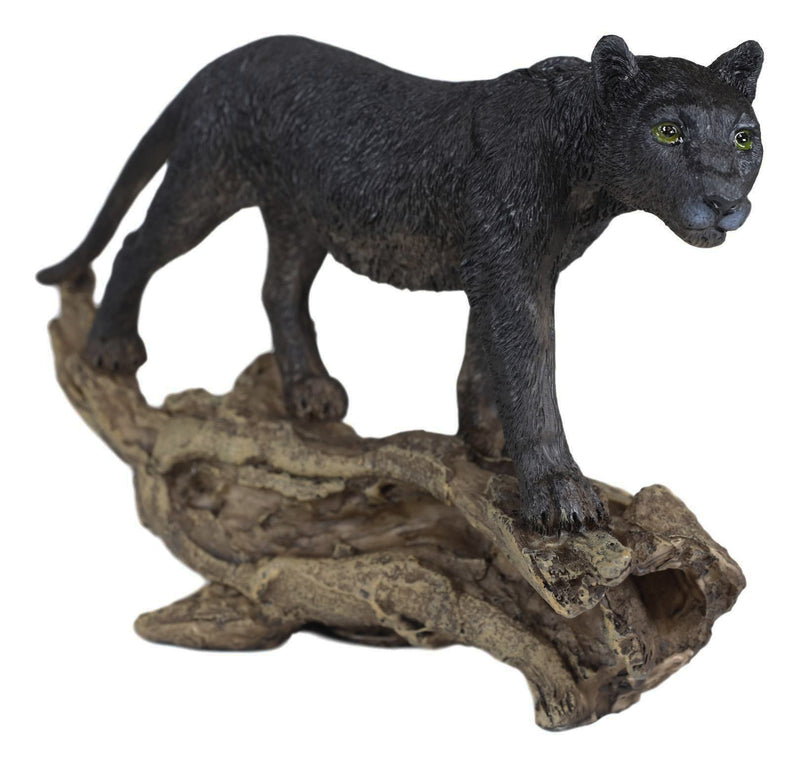 Ebros Animal Jungle Black Panther Prowling On Distressed Tree Log Figurine 8"L