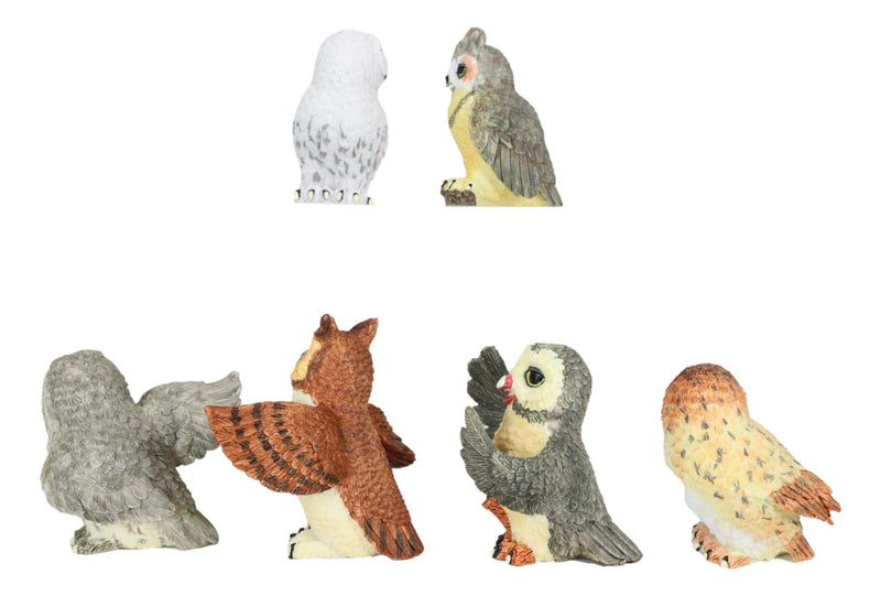 Owls of The World Colorful Nocturnal Birds In Multiple Poses Mini Figurine Set