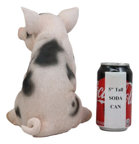 Large Adorable Realistic Animal Farm Babe Spotted Pig Piglet Statue 9"H Decor