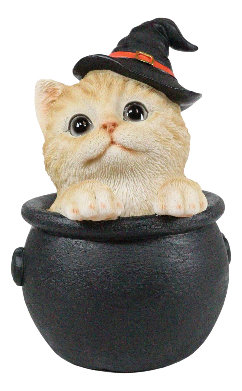 Ebros Witching Hour Halloween Tabby Cat With Witch Hat In Black Cauldron Statue