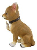 Ebros Feisty Taco Rude Chihuahua Puppy Dog Flipping The Bird Figurine Guest Greeter