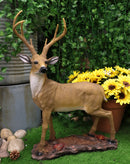 Large 8 Point Trophy Stag Buck Whitetail Deer Statue 26"H Forest Cabin Lodge