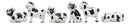 Ebros Set of 6 Whimsical Cute Bovine Cows Figurine Cattle Cow Animal Collectible