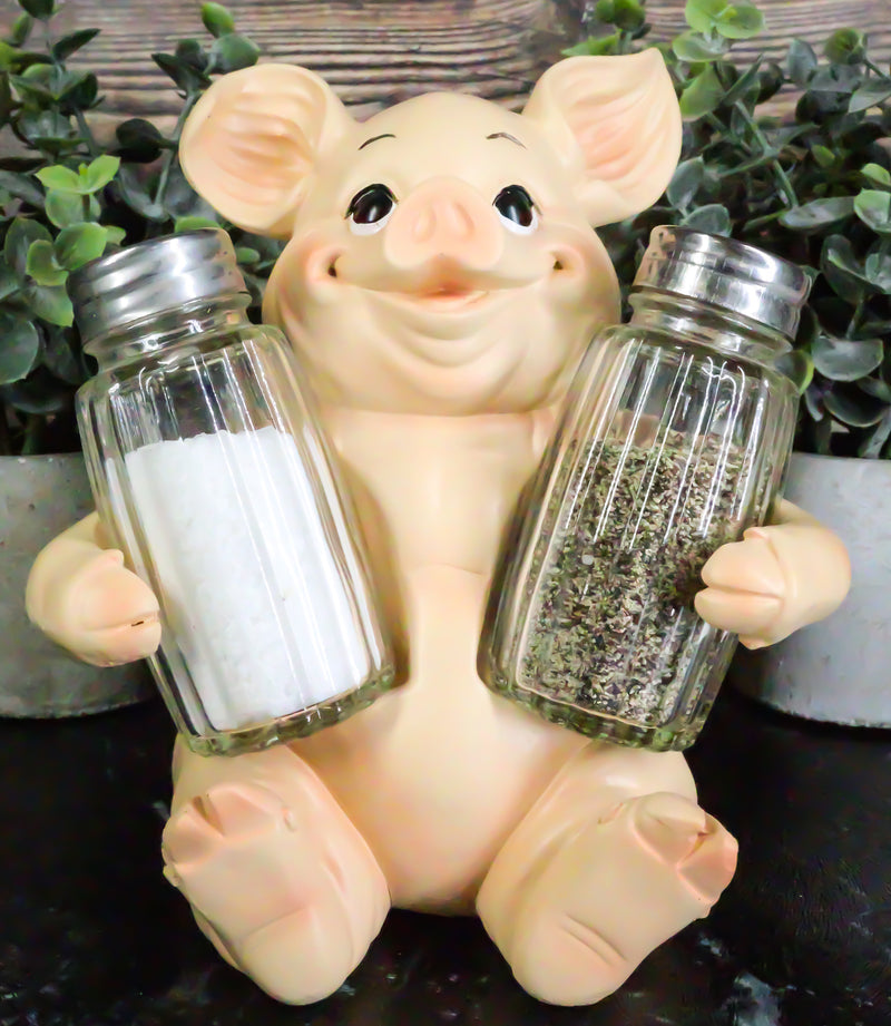 Ebros Gift Farm Barn Porky Pig Salt Pepper Shakers Holder Figurine