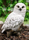 Ebros Snowy Tundra White Owl Perching On Tree Branch Statue 6.5"Tall Figurine