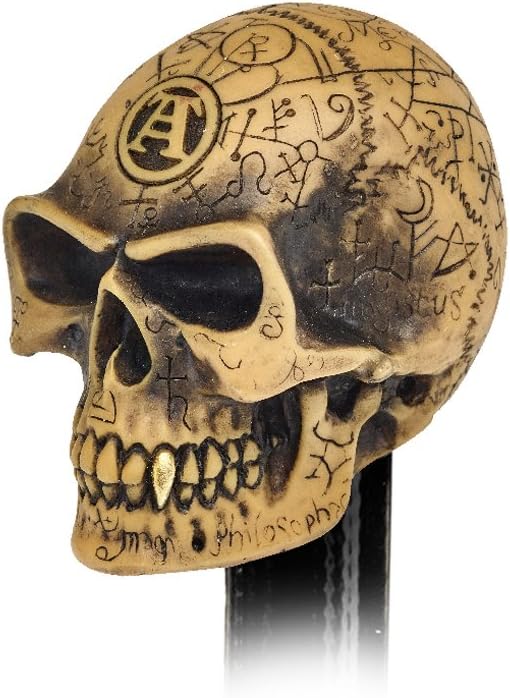 Cream Brown Sacred Symbols Omega Alchemy Skull Gear Shift Knob Or Paperweight