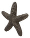 Ebros Cast Iron Ocean Coral Sea Star Shell Starfish Decorative Accent Statue in Rustic Bronze Finish 4.5" Wide Nautical Coastal Themed Decor for Wedding Beach Party Home Decorations DIY Crafts (1)