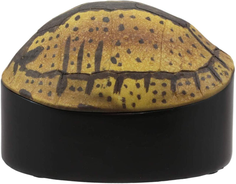 Ebros Nautical Reptile Realistic Spotted Tortoise Shell Decorative Box Figurine 6.25"L