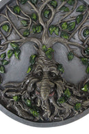 Celtic Tree Man Greenman Tree Of Life Round Wall Decor Plaque Medallion Figurine