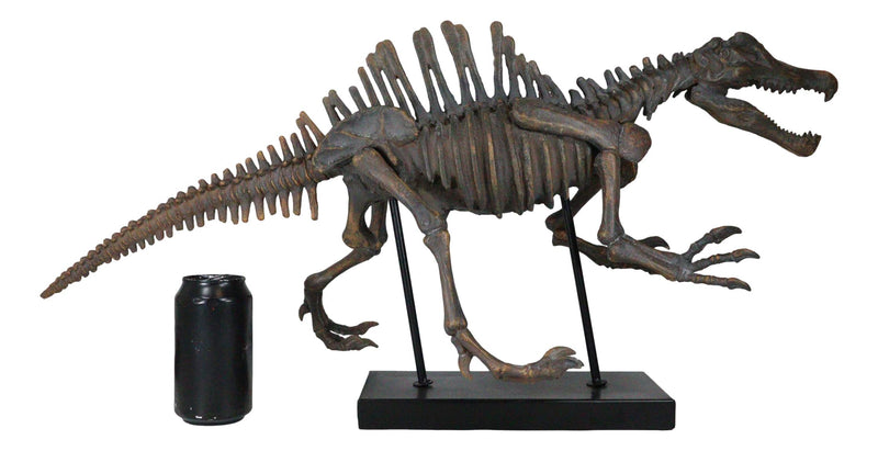 Jurassic Spinosaurus Dinosaur Fossil Skeleton Statue On Museum Mount 28.25"Long