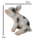 Large Adorable Realistic Animal Farm Babe Spotted Pig Piglet Statue 9"H Decor