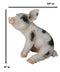 Large Adorable Realistic Animal Farm Babe Spotted Pig Piglet Statue 9"H Decor