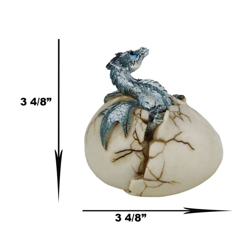 Cold Bifrost Dragon Hatchling Breaking Out Of Egg Shell Figurine Myth & Legends