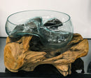 Balinese Handicraft Natural Driftwood With Large Glass Fruit Succulents Bowl