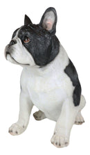 Realistic Sitting Black French Bulldog Puppy Dog With Glass Eyes Statue Pet Pal